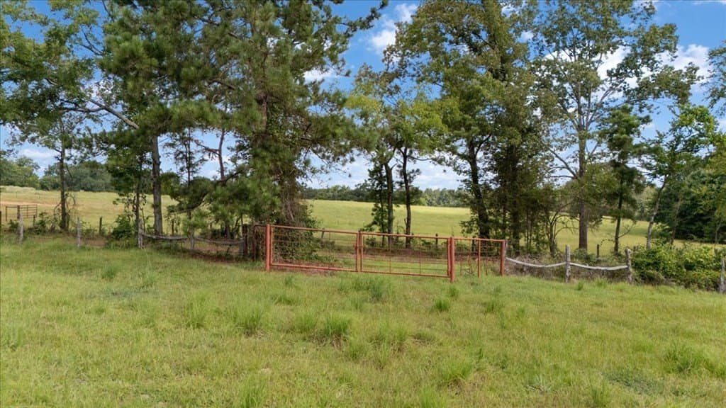 78 acres in Texas County - photo 29