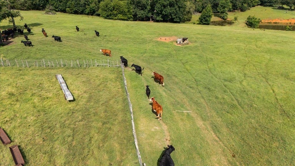 78 acres in Texas County - photo 21
