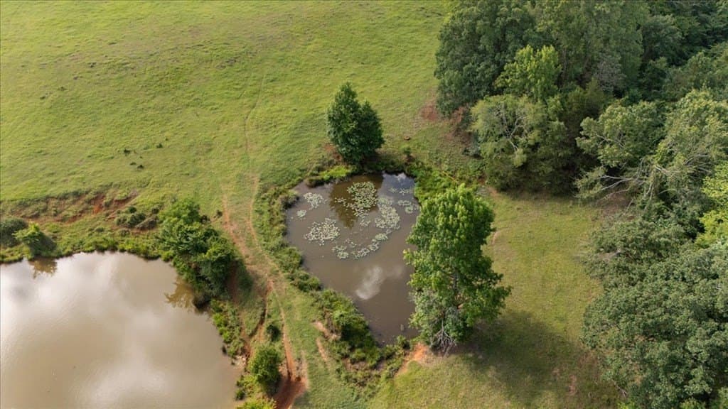 78 acres in Texas County - photo 7