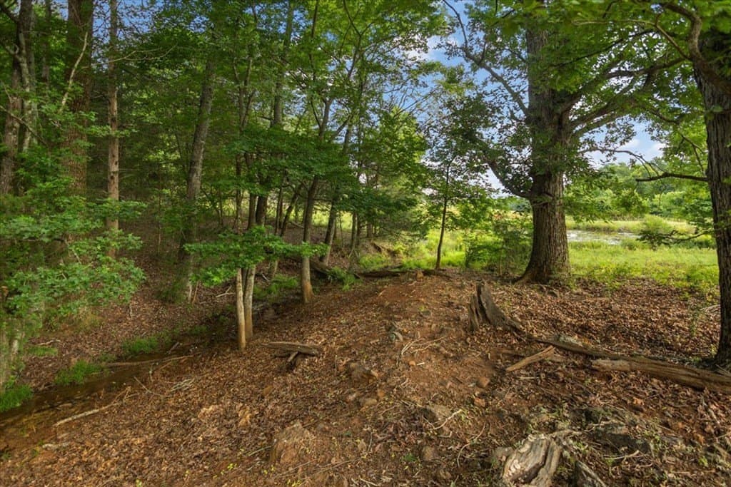 78 acres in Texas County - photo 35