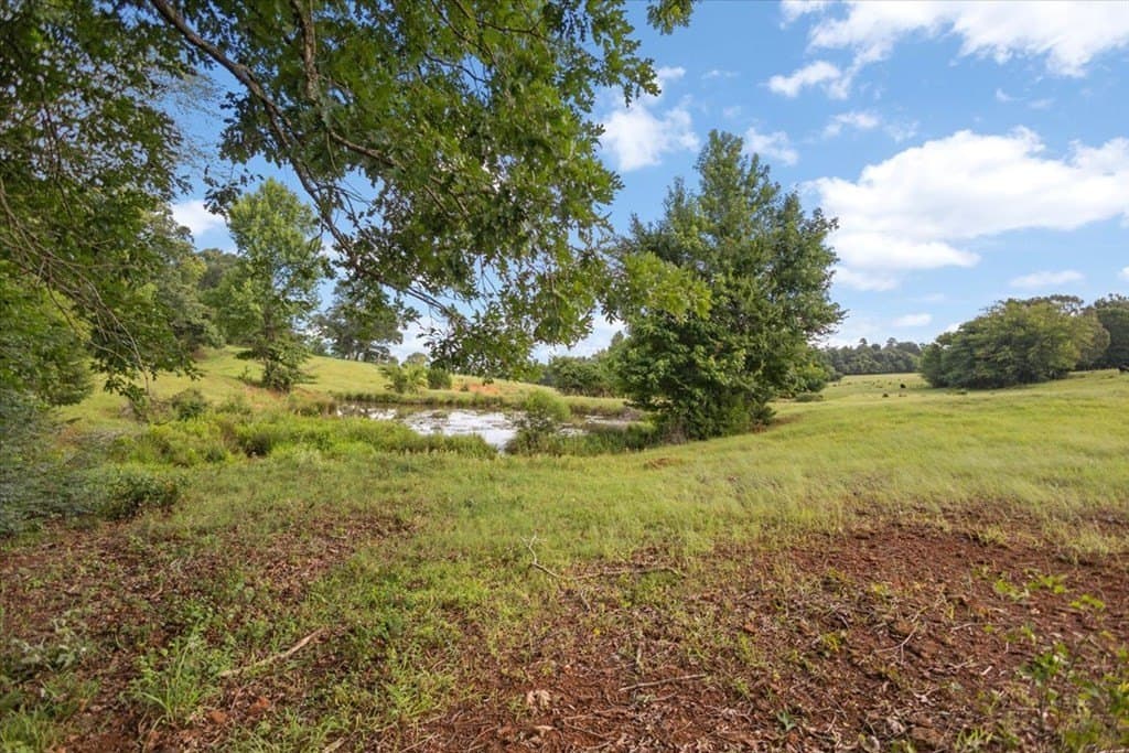 78 acres in Texas County - photo 37