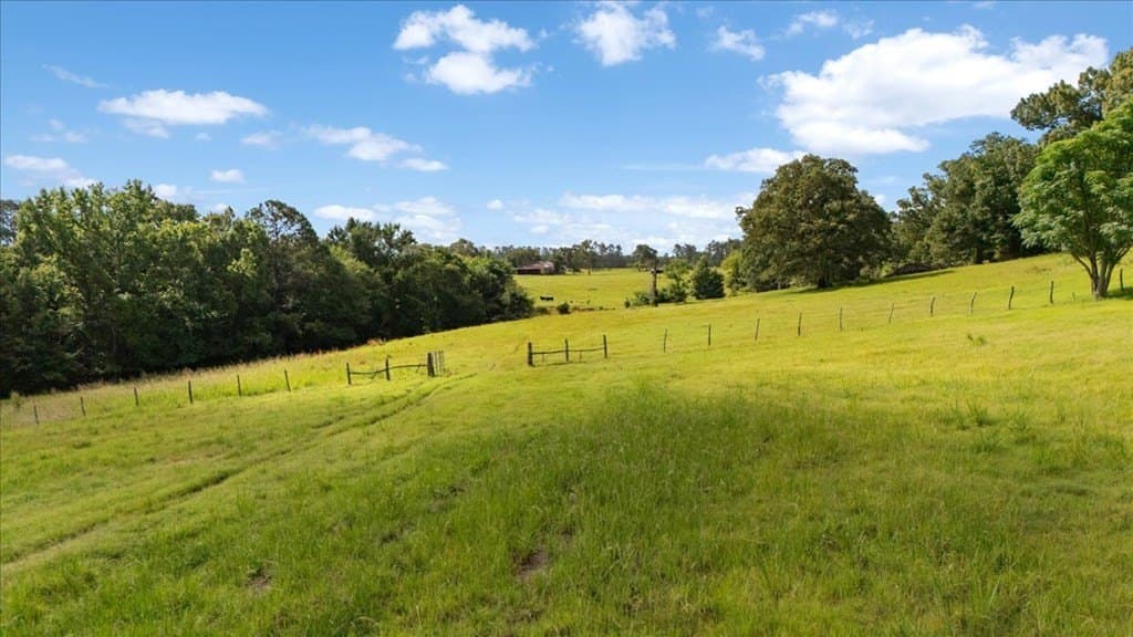 78 acres in Texas County - photo 31