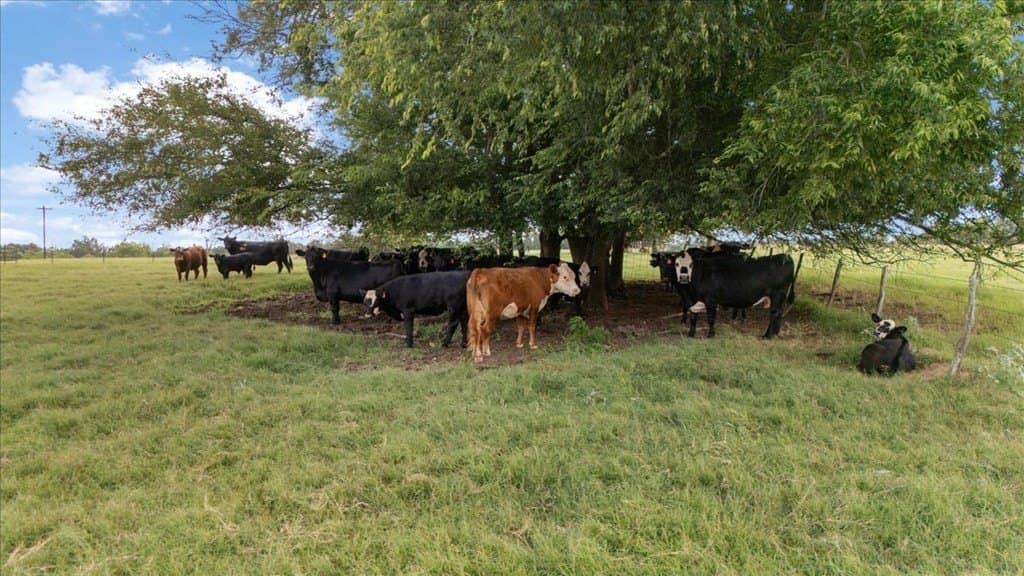 78 acres in Texas County - photo 15
