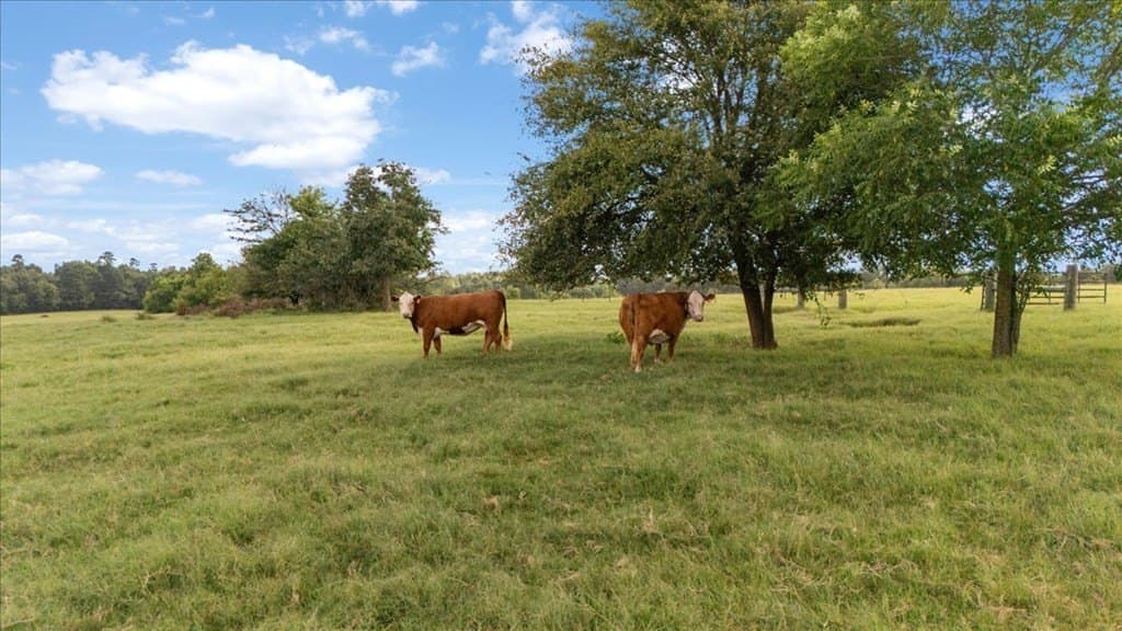 78 acres in Texas County - photo 16
