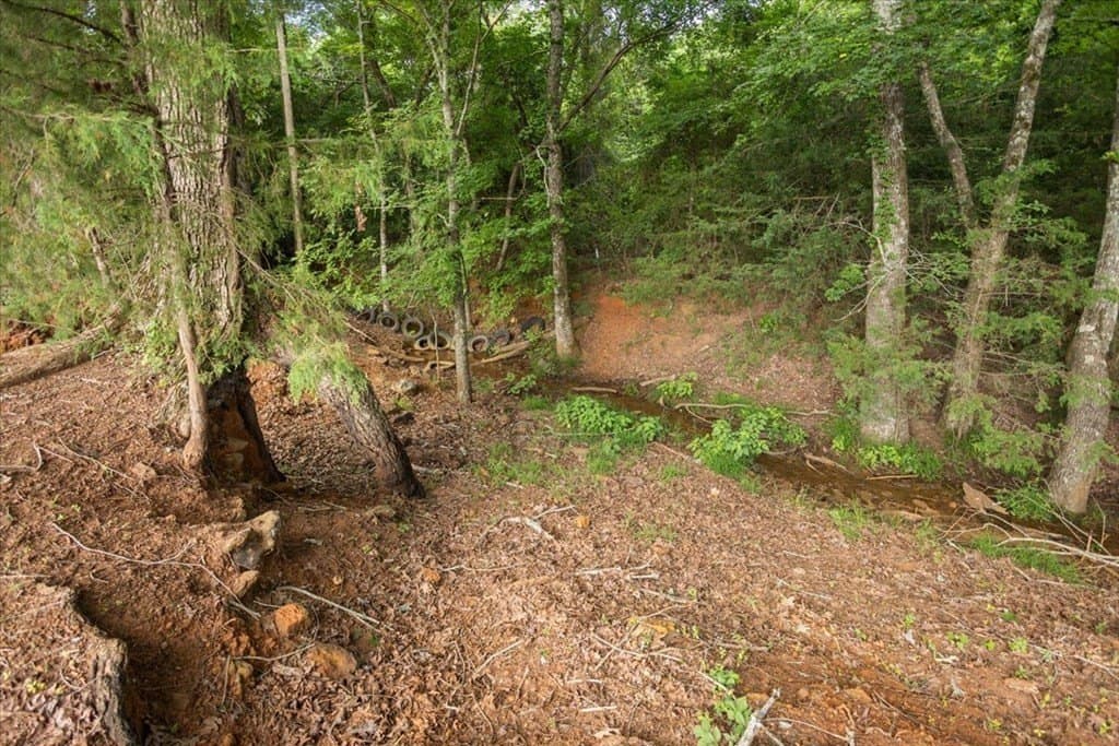 78 acres in Texas County - photo 33