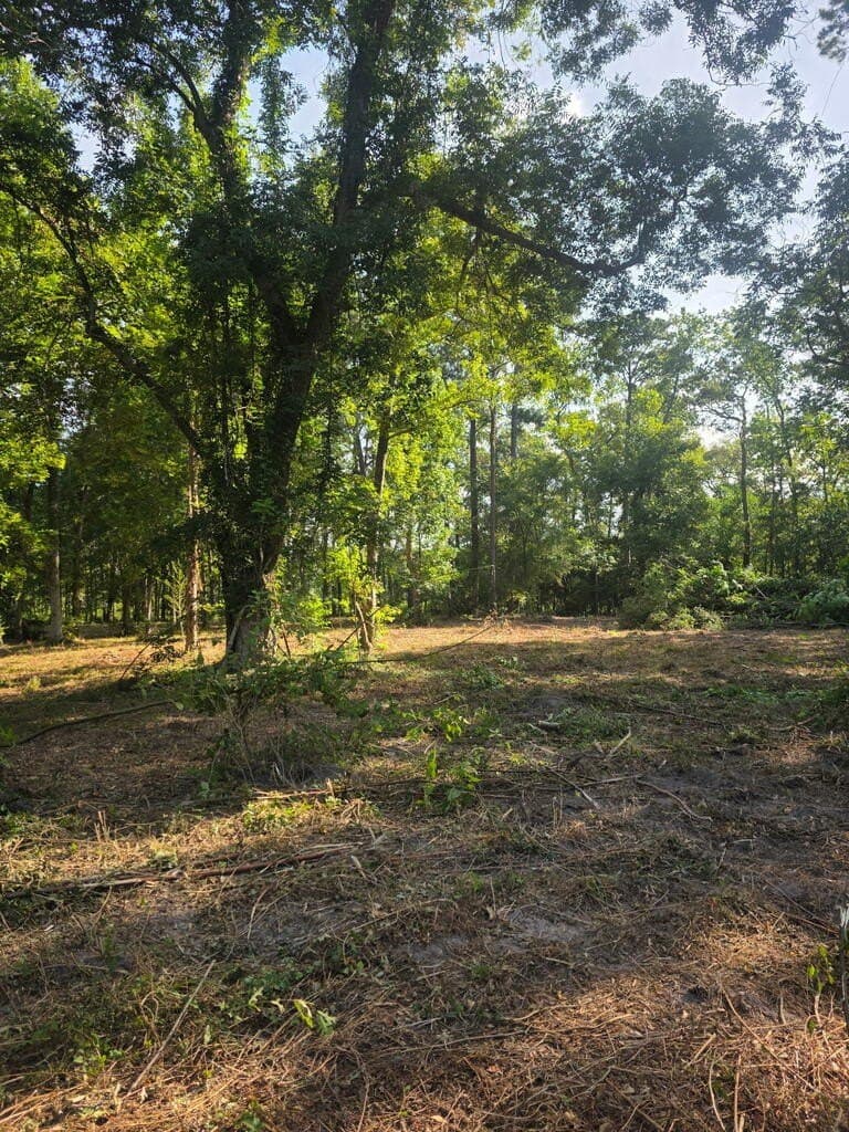 2.27 acres in Texas County - photo 3