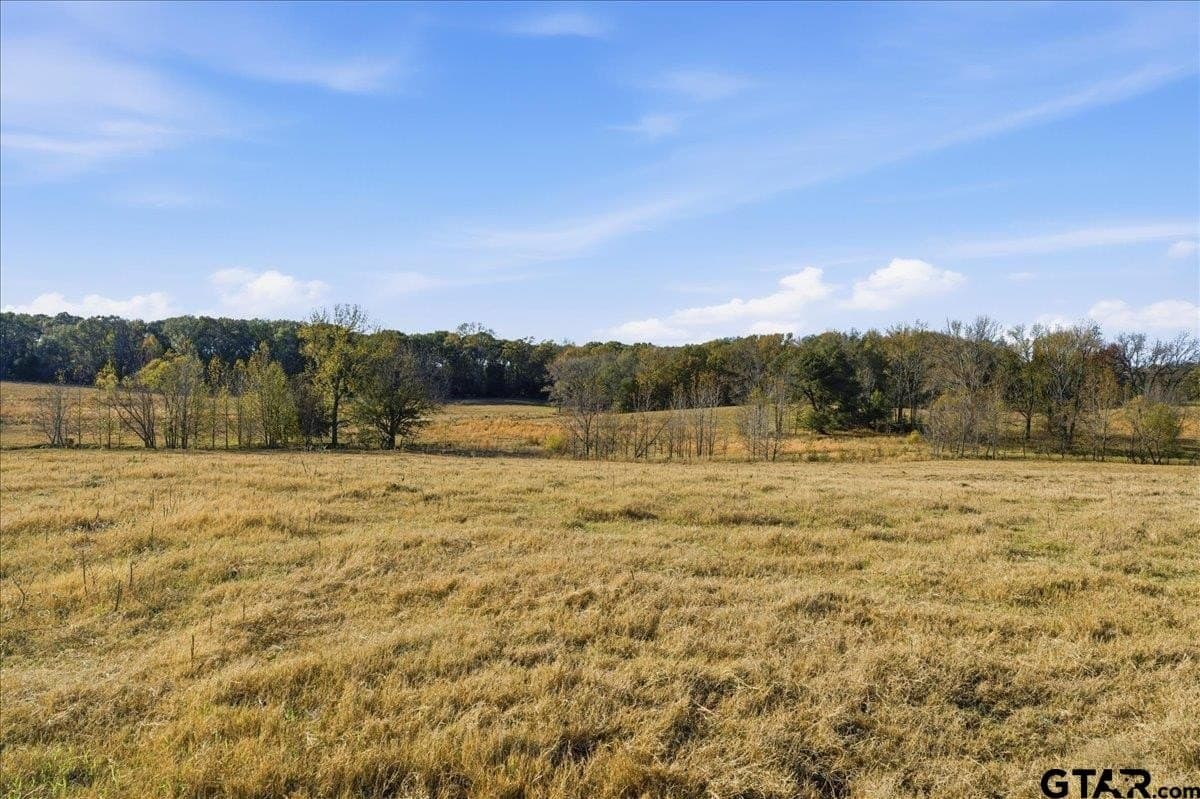 78 acres in Hopkins County - photo 38