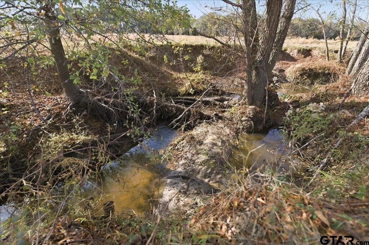 78 acres in Hopkins County - photo 39