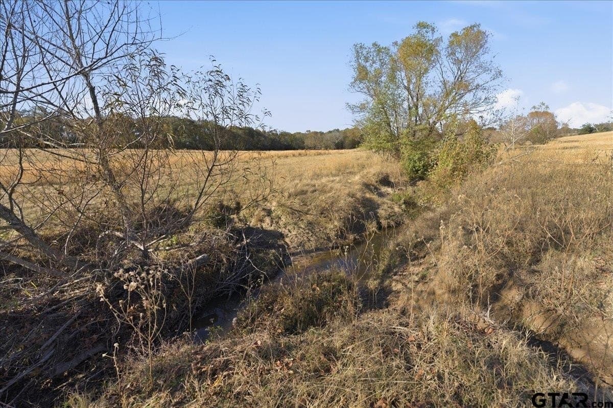 78 acres in Hopkins County - photo 36