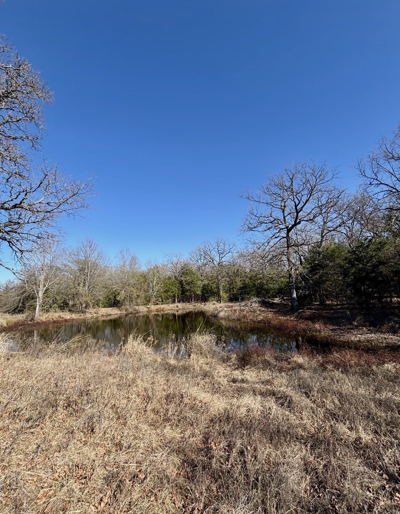 13.59 acres in Henderson County gallery image 3