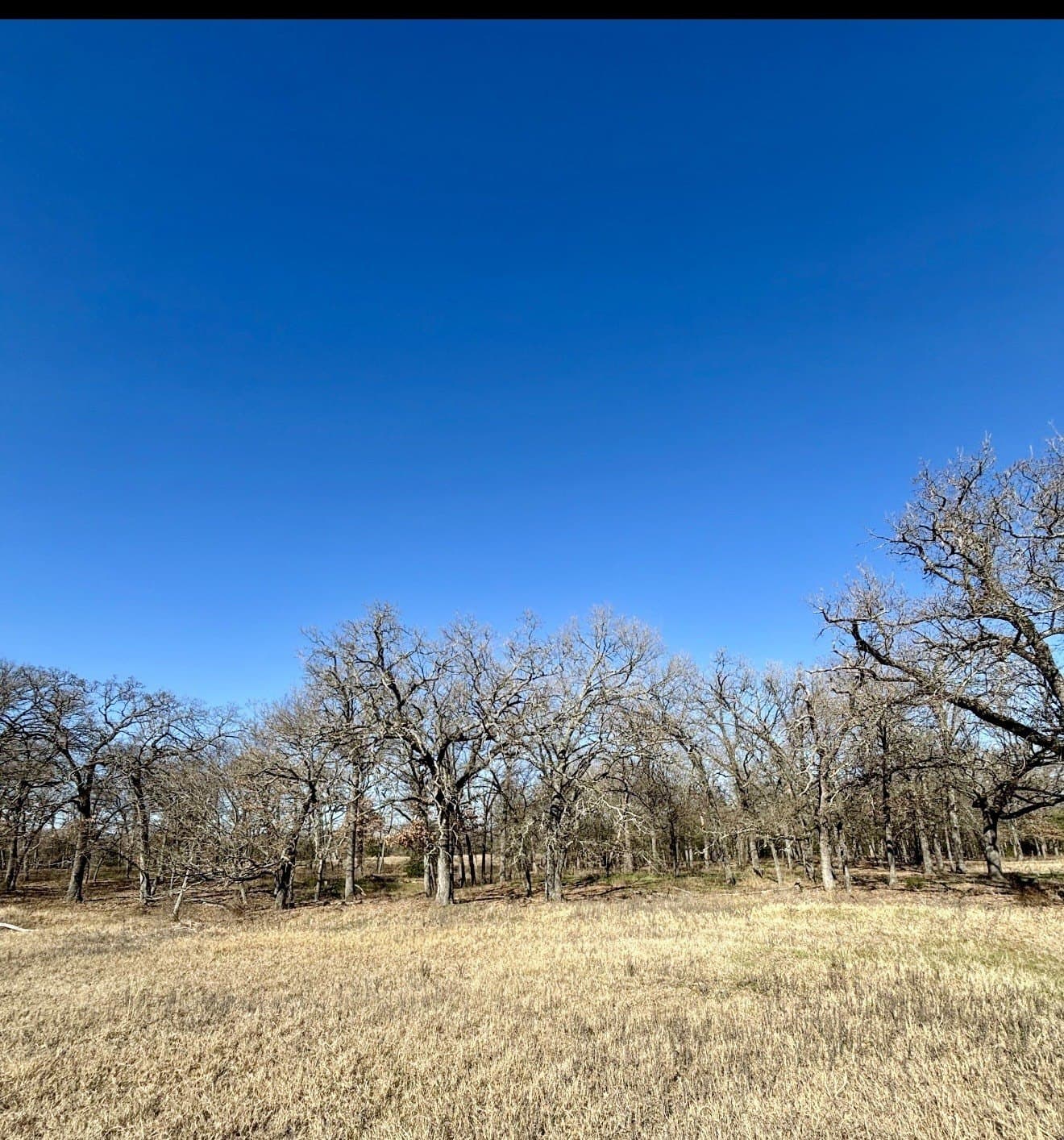 13.59 acres in Henderson County featured view