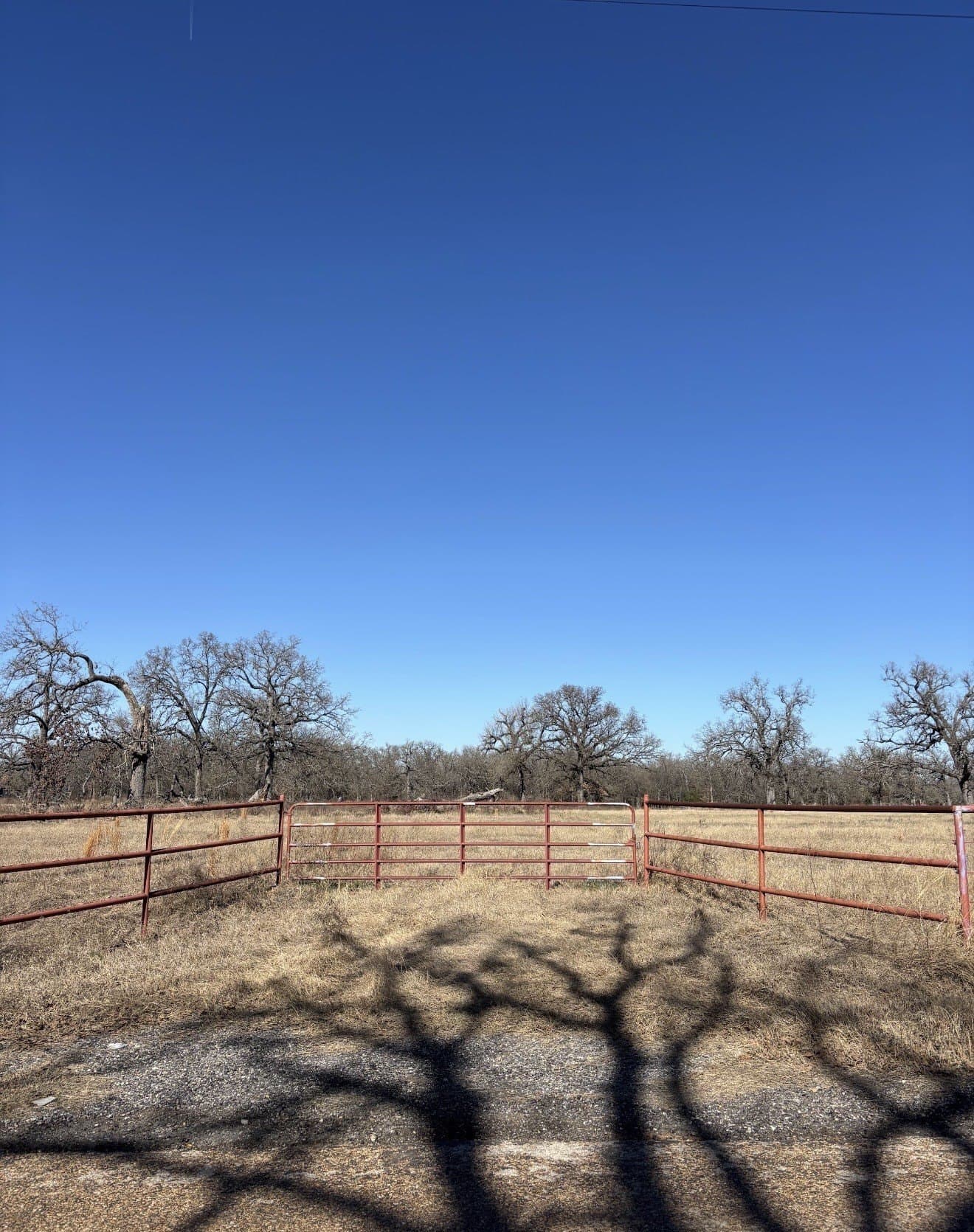 13.59 acres in Henderson County gallery image 2