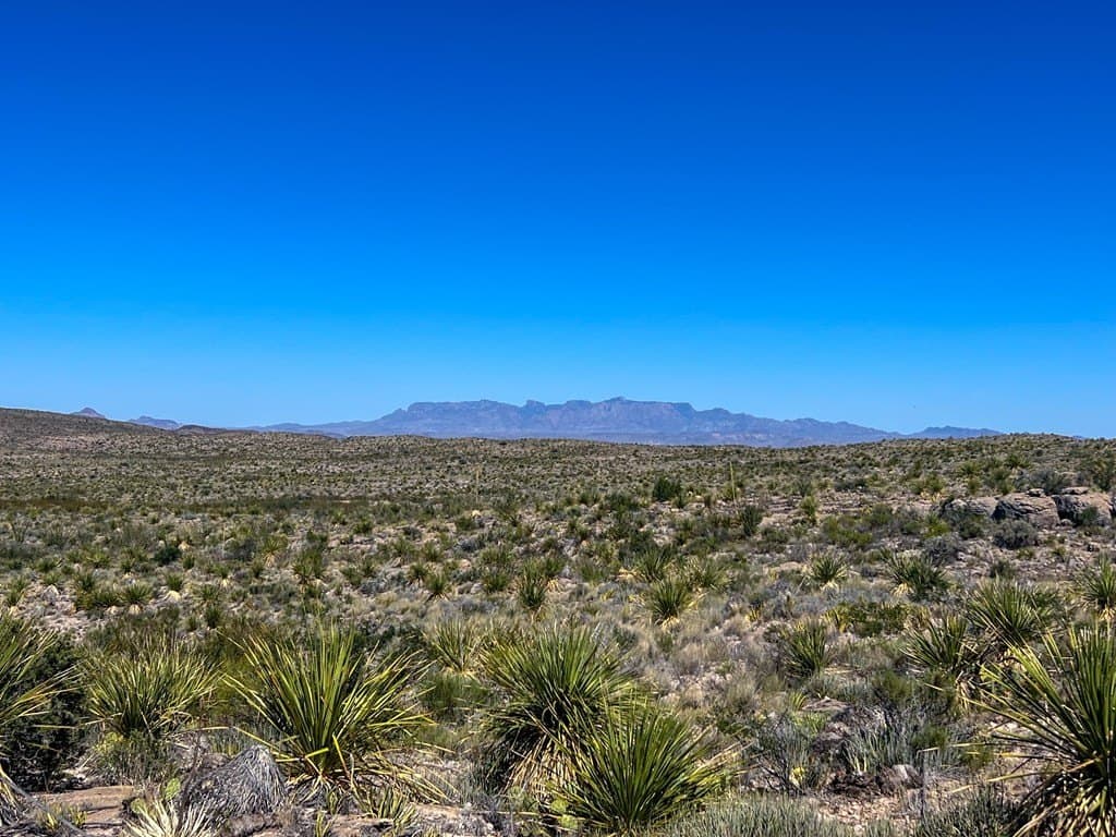 480 acres in Brewster County - photo 22
