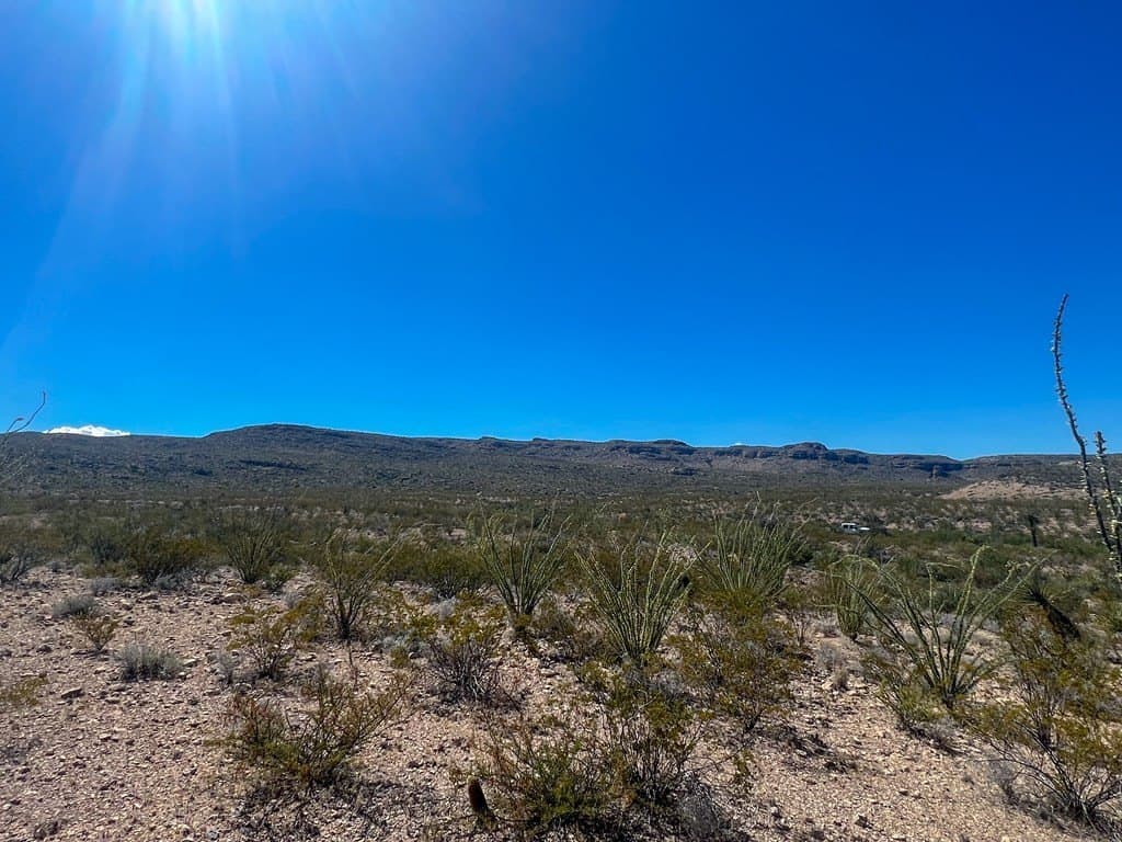 480 acres in Brewster County - photo 13