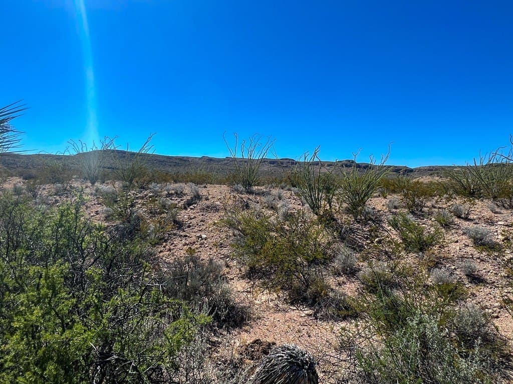 480 acres in Brewster County - photo 33