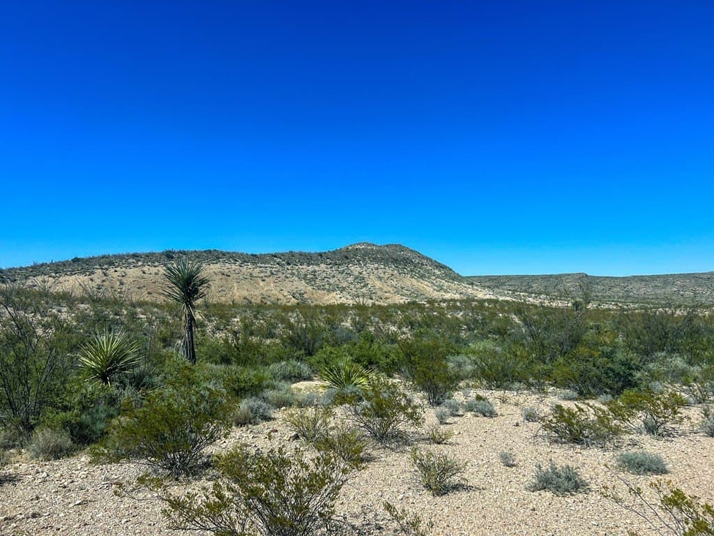 480 acres in Brewster County - photo 6