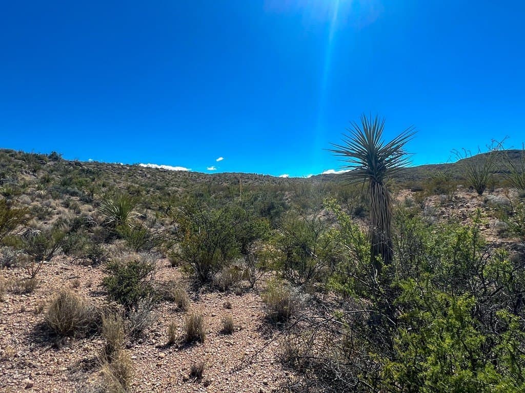 480 acres in Brewster County - photo 32
