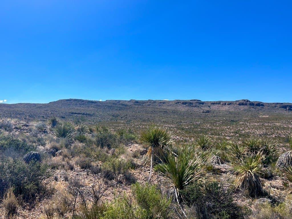 480 acres in Brewster County - photo 29