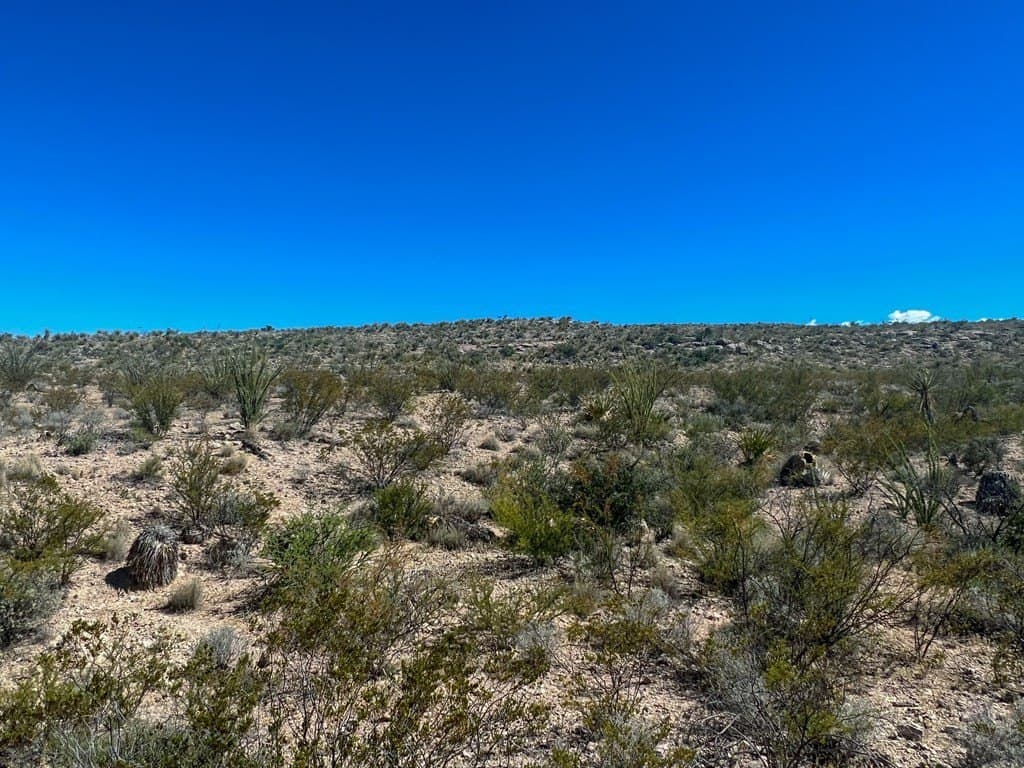 480 acres in Brewster County - photo 10