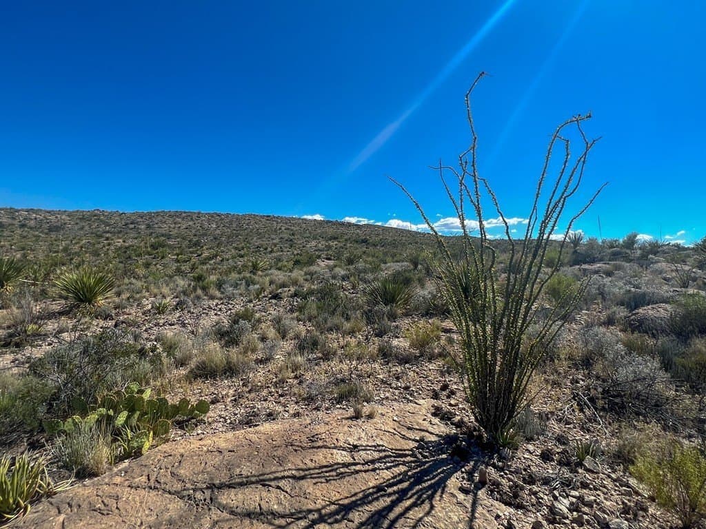 480 acres in Brewster County - photo 18
