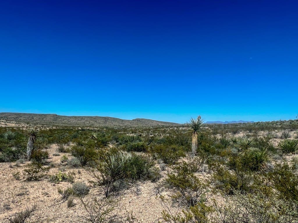 480 acres in Brewster County - photo 9