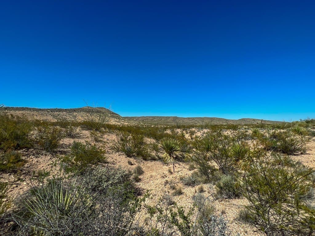 480 acres in Brewster County - photo 34