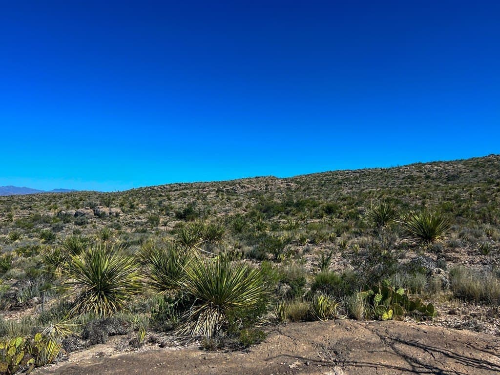 480 acres in Brewster County - photo 24