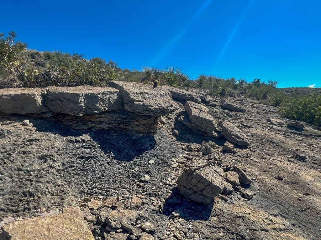 480 acres in Brewster County gallery image 3