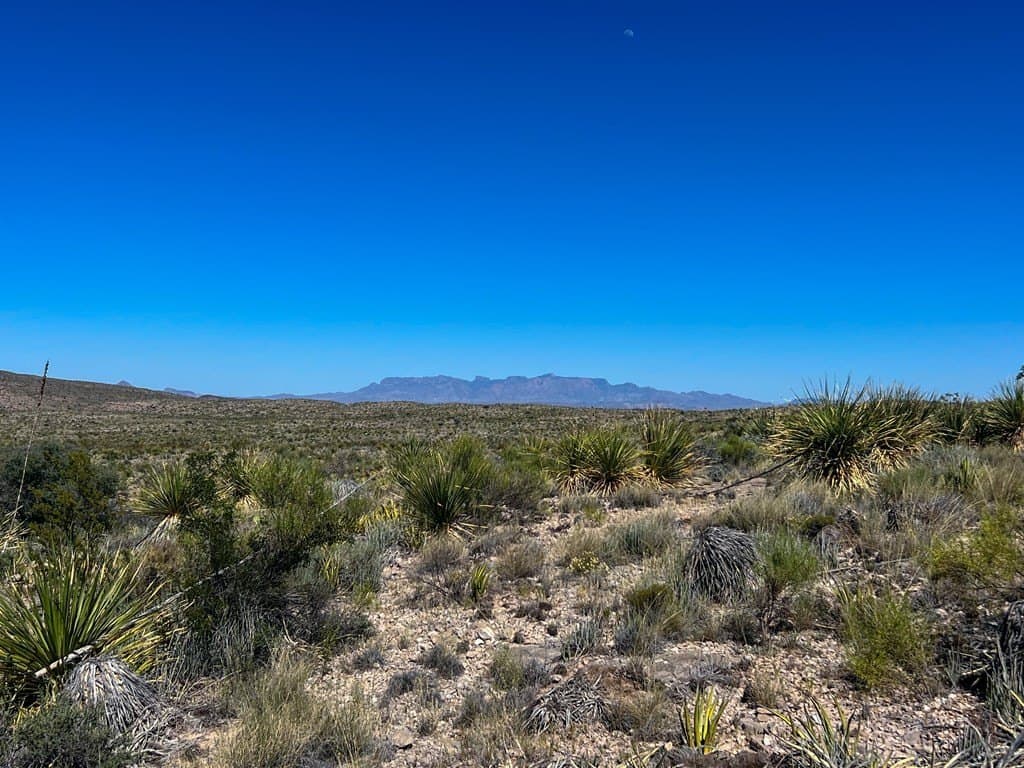 480 acres in Brewster County - photo 30