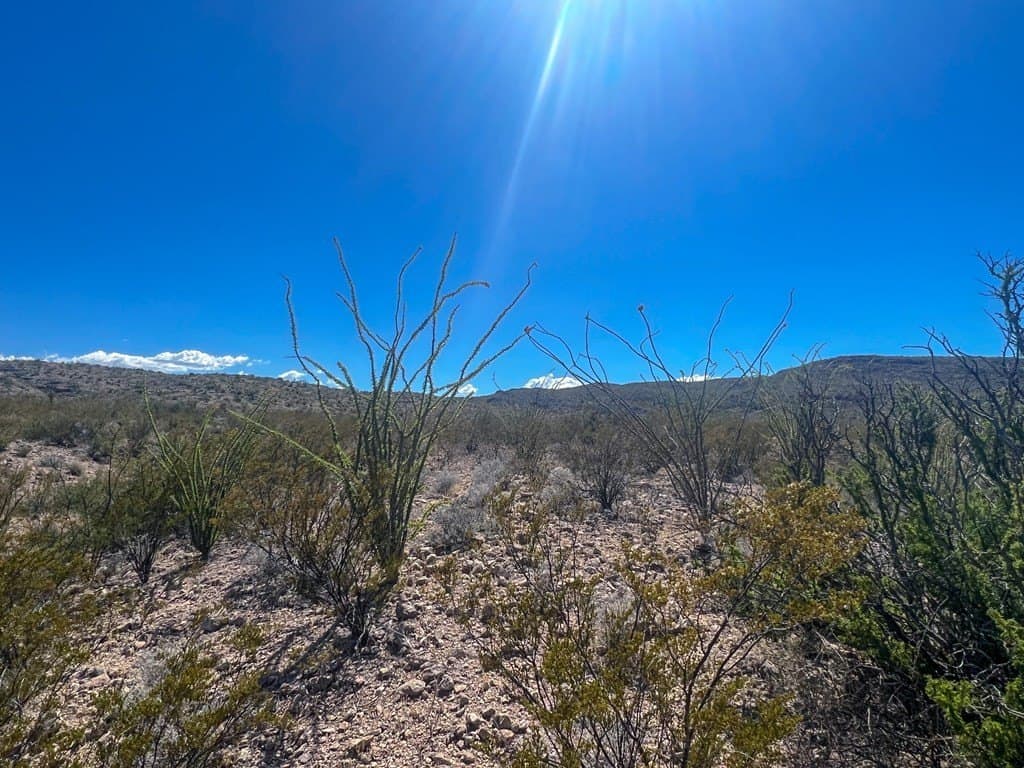 480 acres in Brewster County - photo 11