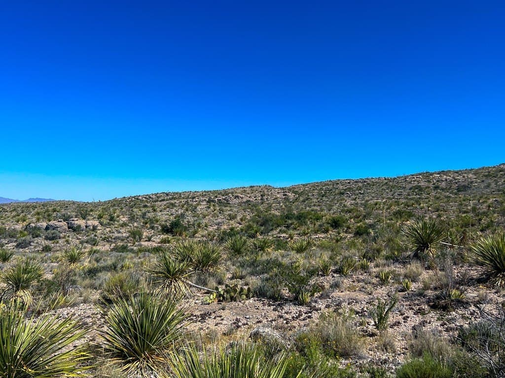 480 acres in Brewster County - photo 17