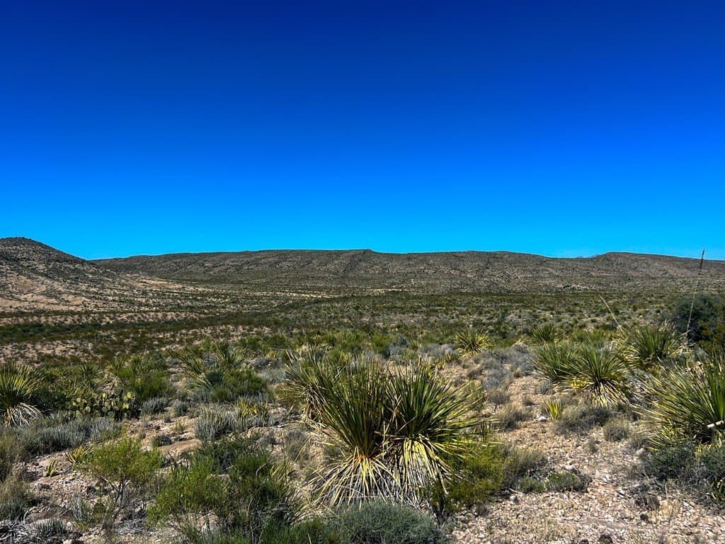 480 acres in Brewster County - photo 31