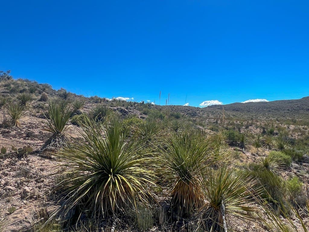 480 acres in Brewster County - photo 15