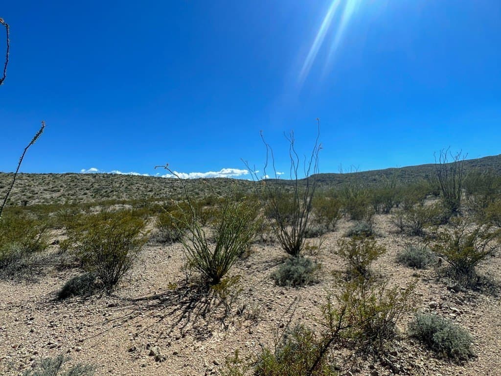 480 acres in Brewster County featured view