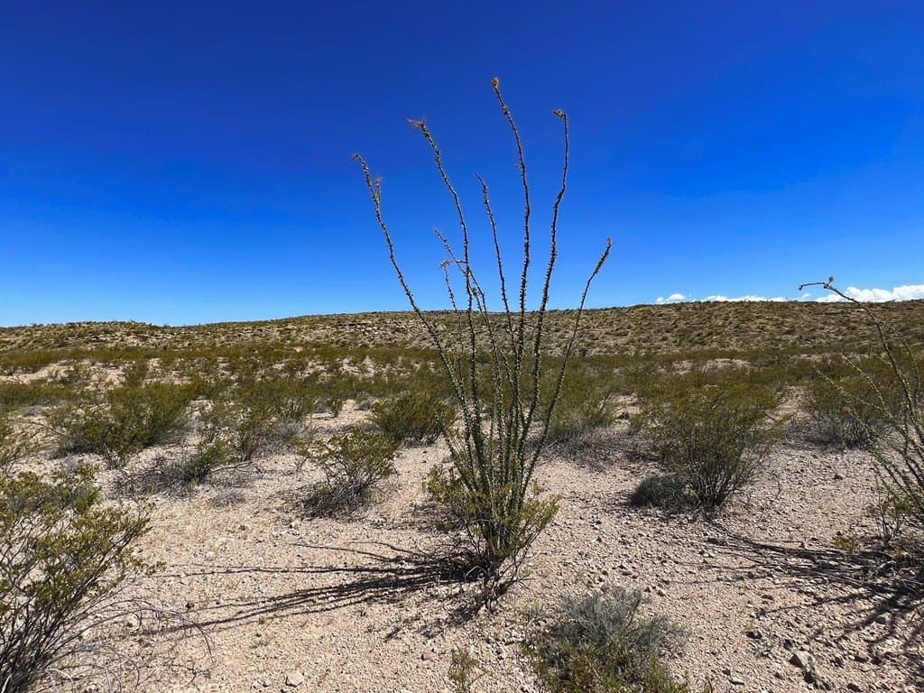 480 acres in Brewster County gallery image 4