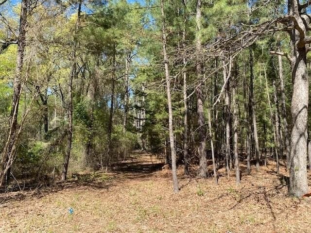 2.2 acres in VAN ZANDT County