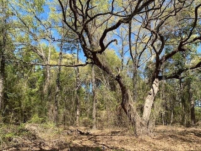 2.2 acres in VAN ZANDT County featured view