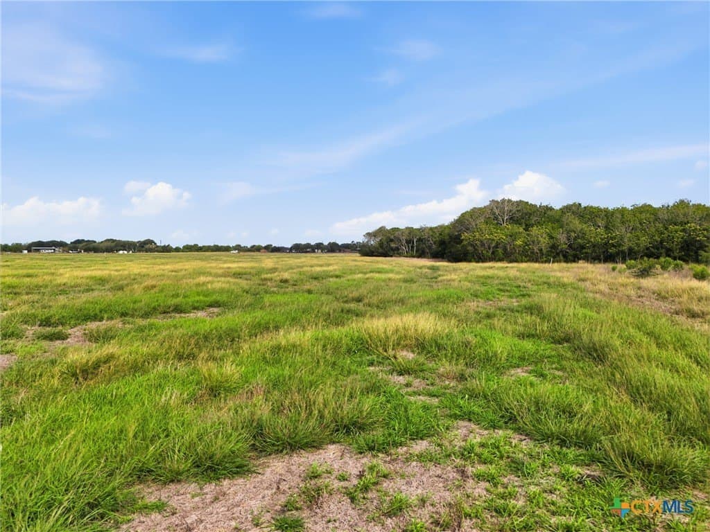 34.35 acres in Calhoun County - photo 9