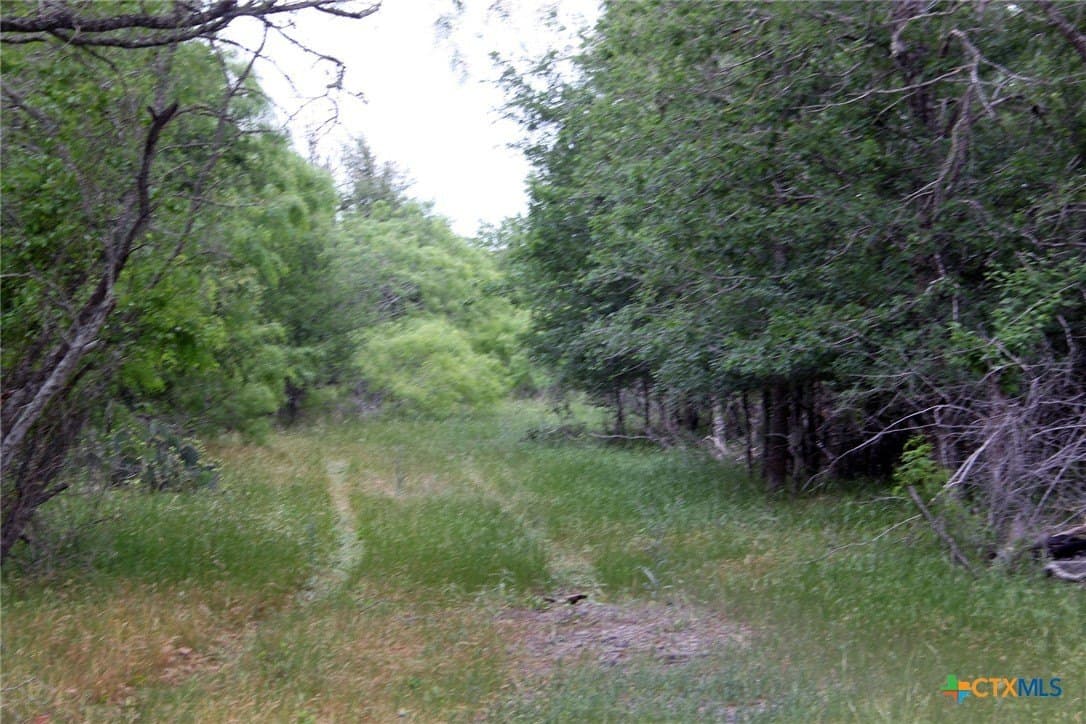 3.48 acres in Caldwell County gallery image 3