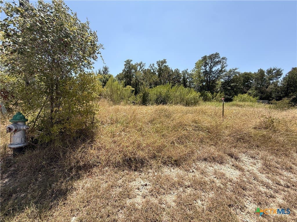 0.29 acres in Bell County - photo 4
