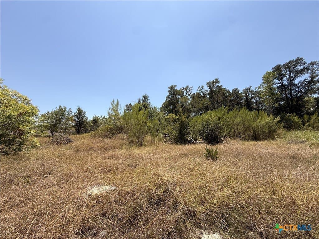 0.29 acres in Bell County - photo 5