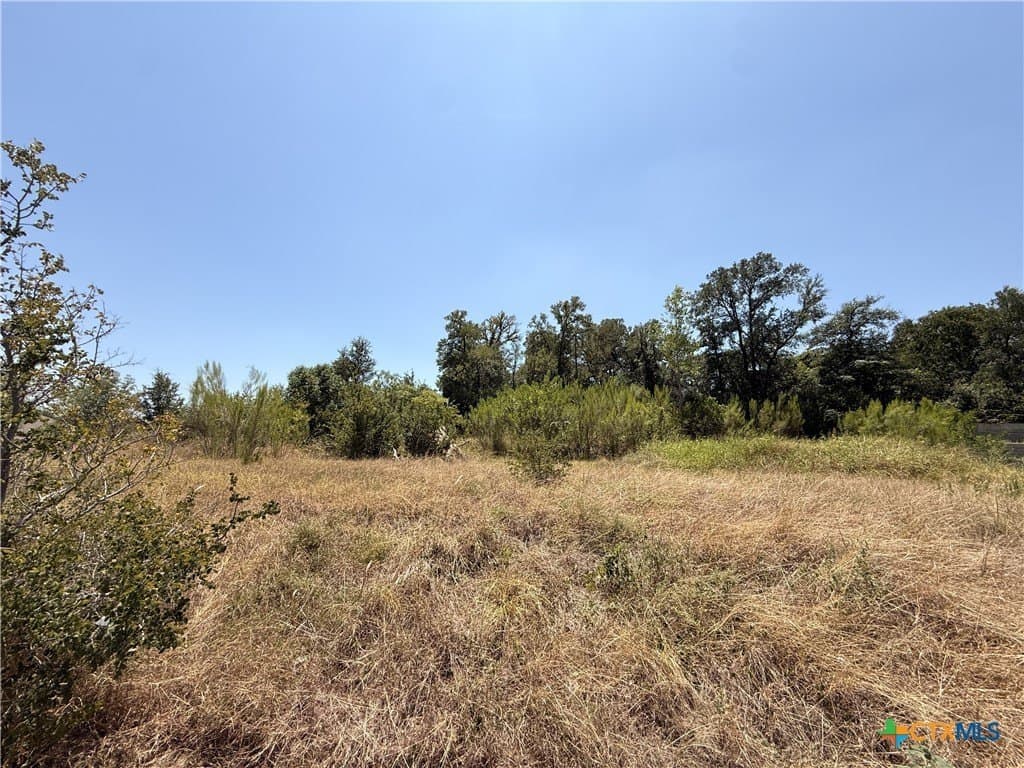 0.29 acres in Bell County - photo 2