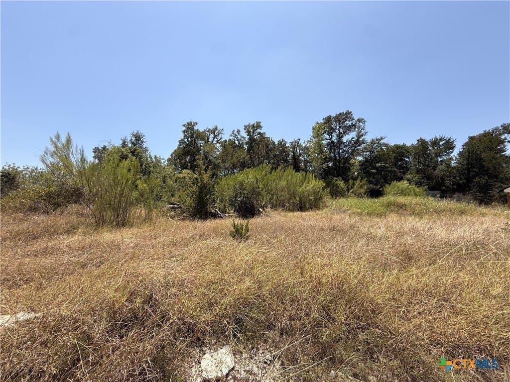 0.29 acres in Bell County - photo 6