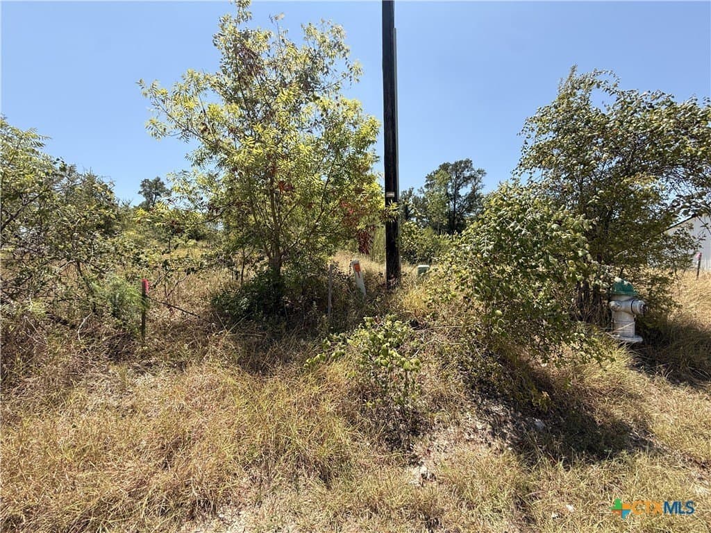 0.29 acres in Bell County - photo 3
