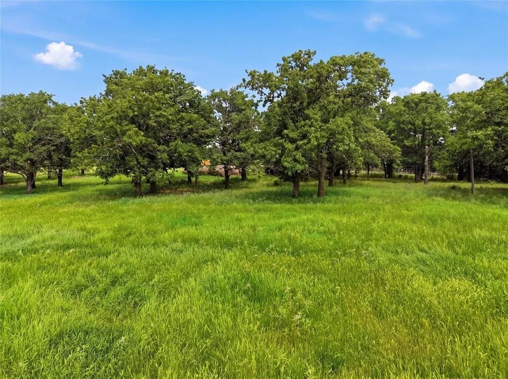 26 acres in Parker County gallery image 3