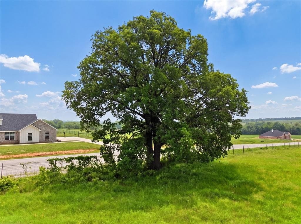 26 acres in Parker County gallery image 4