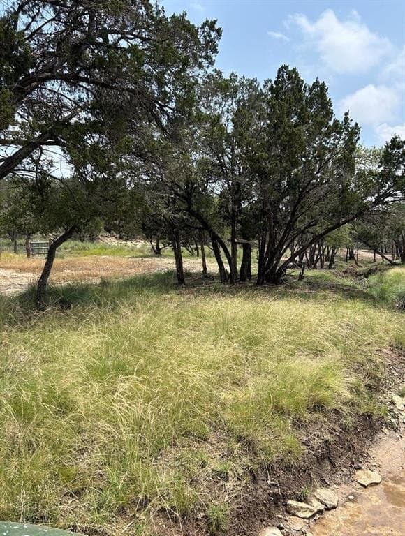 20.3 acres in Hays County featured view