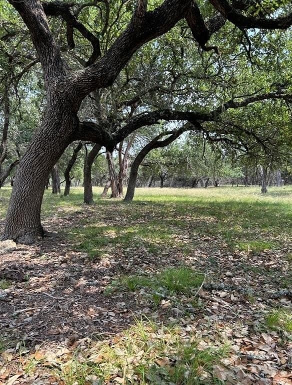 20.3 acres in Hays County gallery image 4