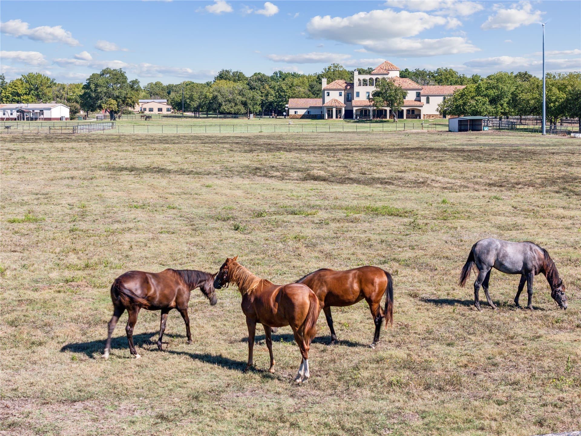 139.36 acres in Denton County featured view
