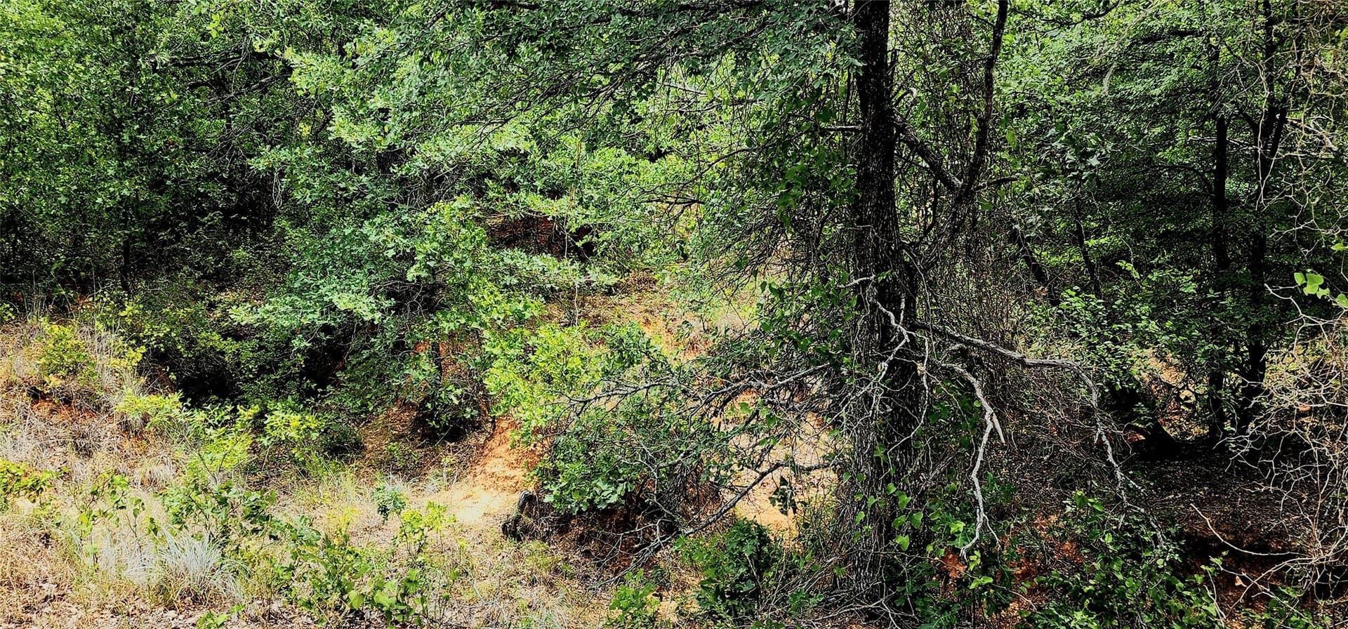 1.89 acres in Parker County - photo 10